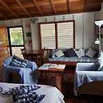 Carolyn\'S Other House