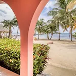 Oleander @ Caribe Island