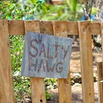 Salty Hawg