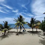 Palm & Pelican