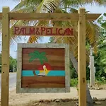 Palm & Pelican