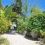 Amanda\'S Place Green Studio - Pool And Tropical Garden