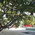 Amanda\'S Place Green Studio - Pool And Tropical Garden
