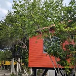Palmento Grove Garifuna Eco-Cultural & Healing Institute