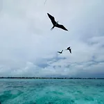 Coba Belize