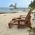 Palm & Pelican