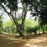 Crystal Paradise Resort