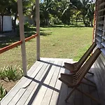 Bamboo-Belize