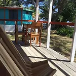 Bamboo-Belize