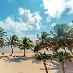 Palm @ Caribe Island