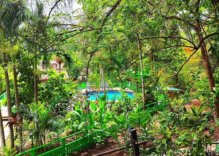 Maya Mountain Lodge