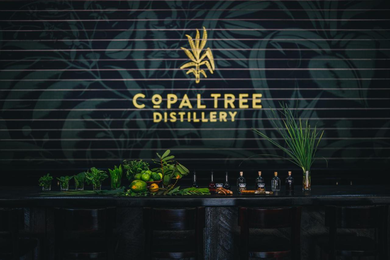 Copal Tree A Muy'ono