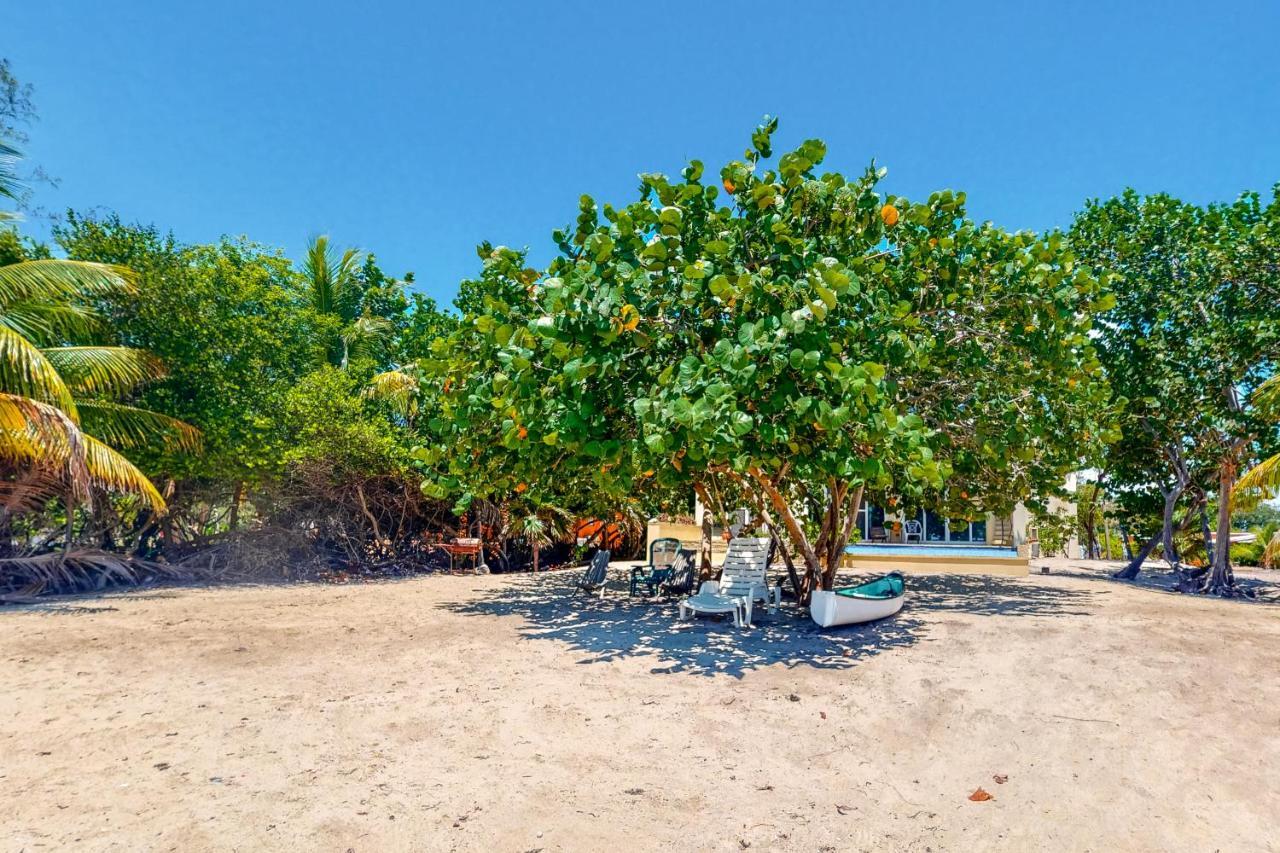Casa Chachalaca
