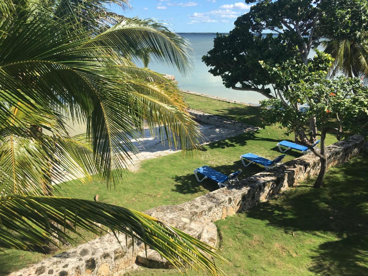 Almond Tree Hotel Corozal