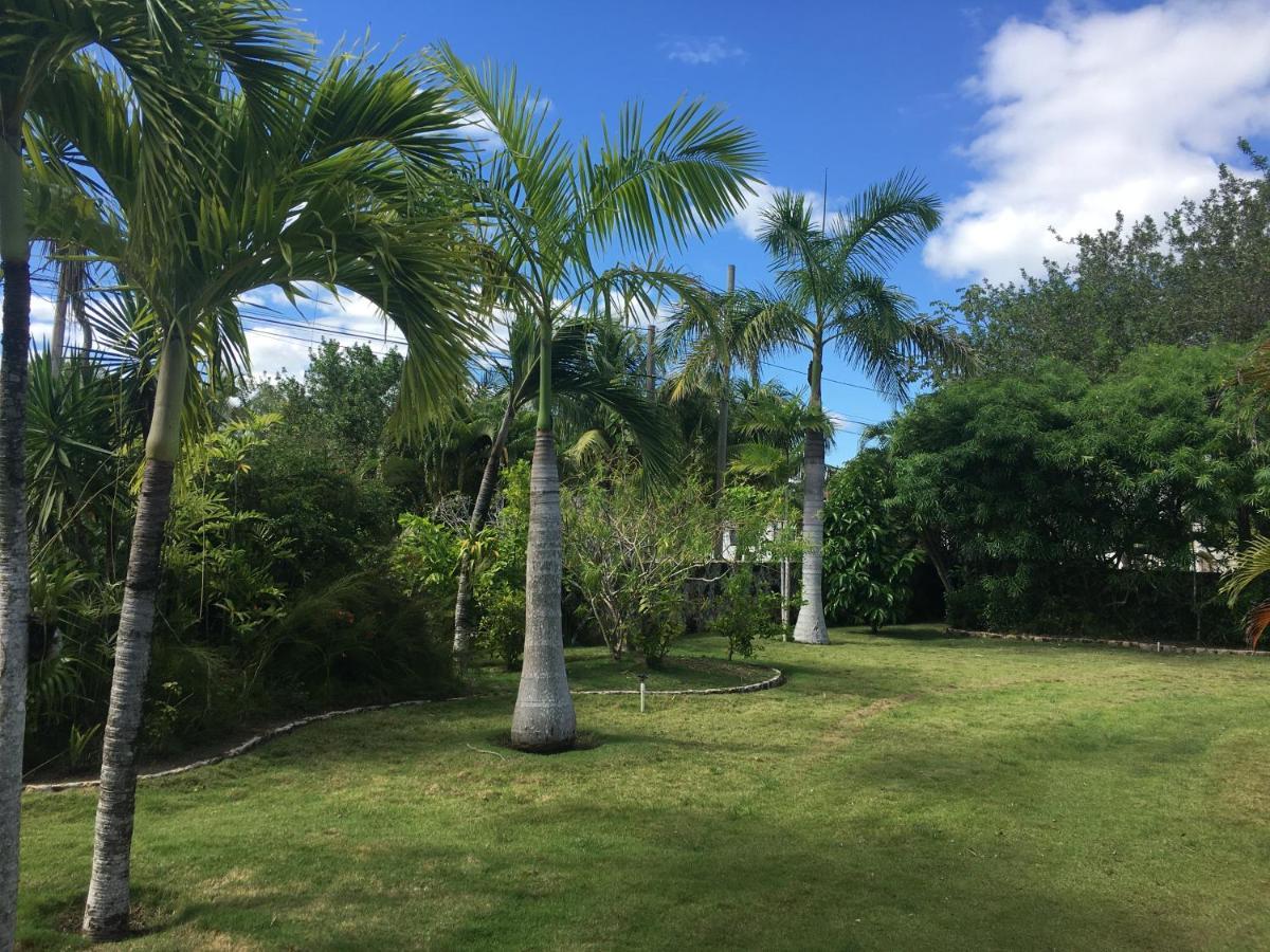 Almond Tree 5* Corozal