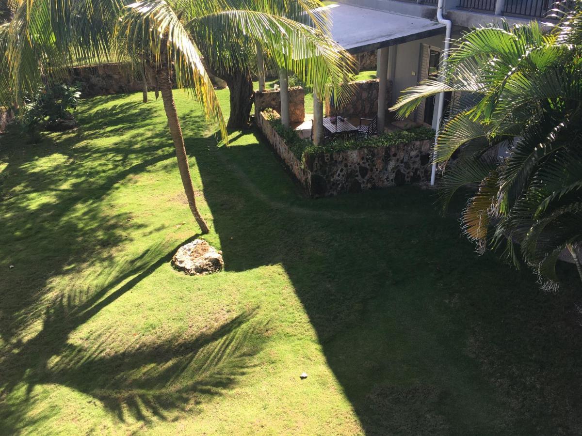 Hotel Almond Tree