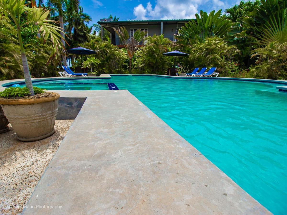 Hotel Almond Tree Corozal