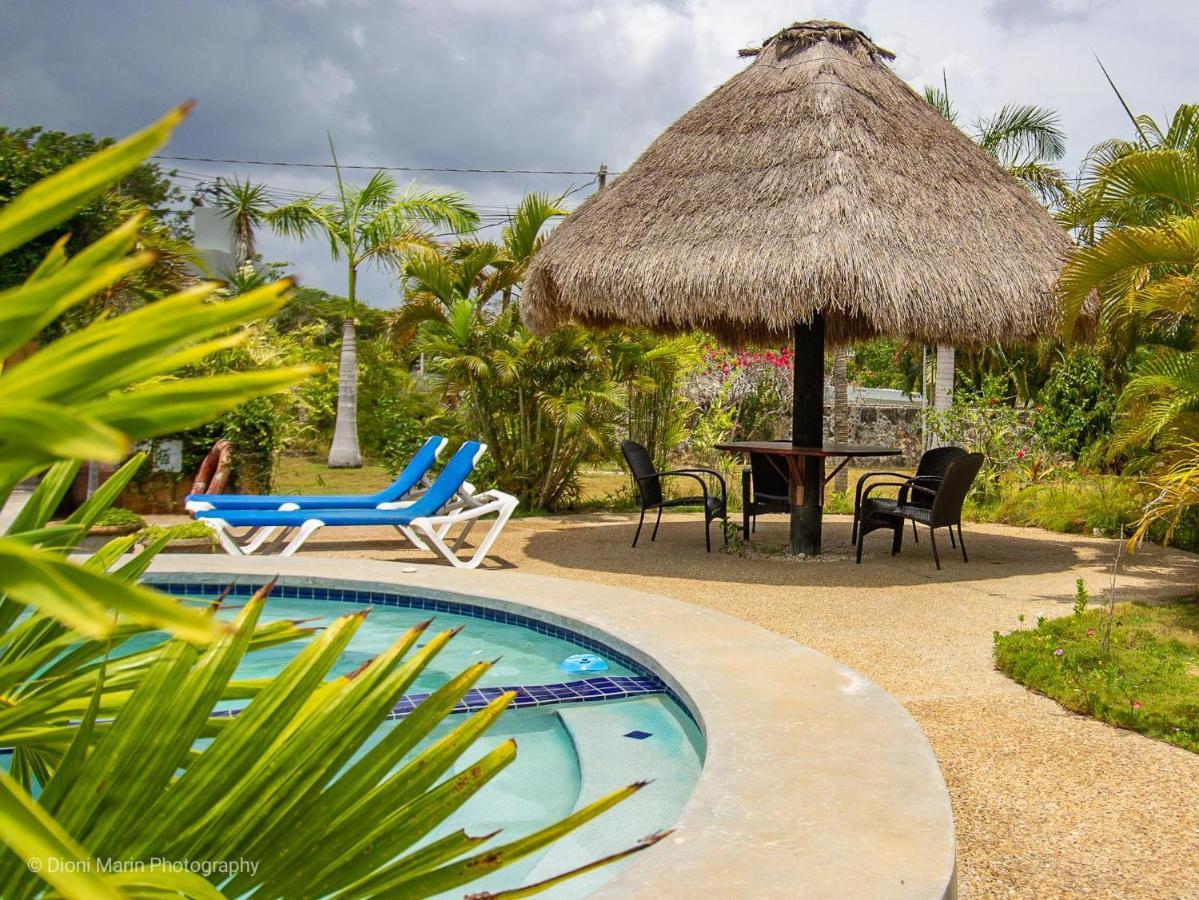 Hotel Almond Tree 5*