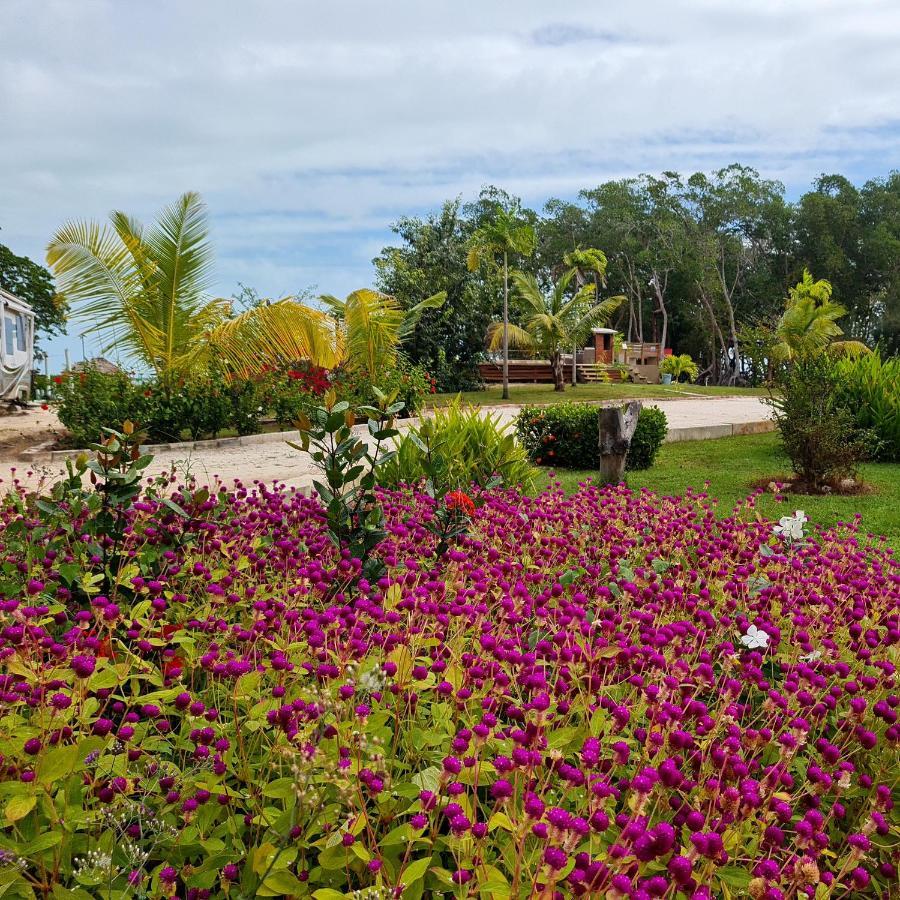 Hotel Seaside Chateau Belize City