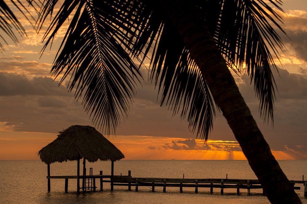 Resort Almond At Jaguar Reef Hopkins