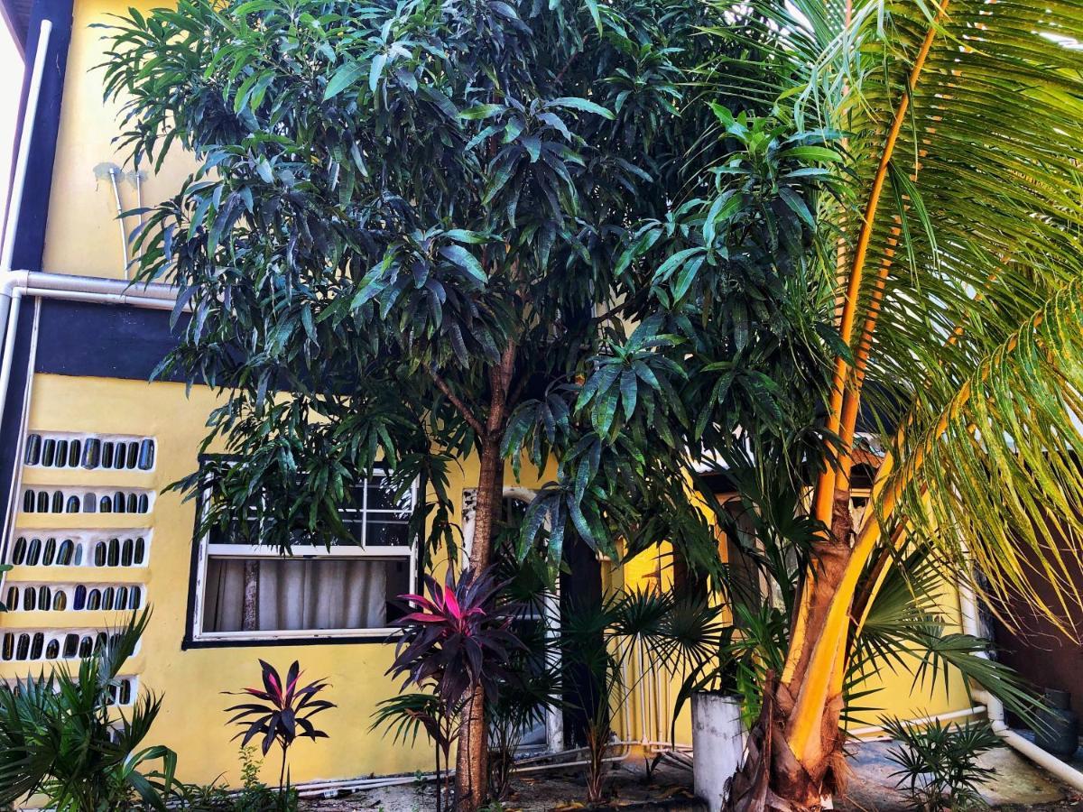 The Novelo Guest house