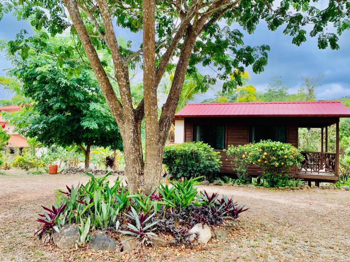 Sattva Land 3* Belmopan