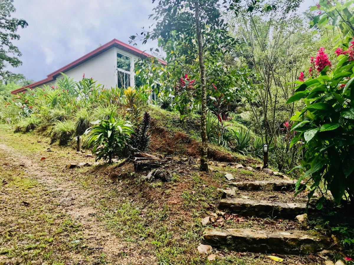 Resort Sattva Land 3*