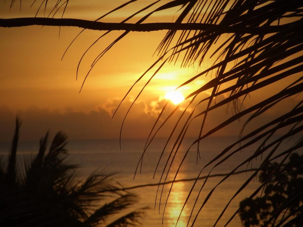 Bluebelize Punta Gorda