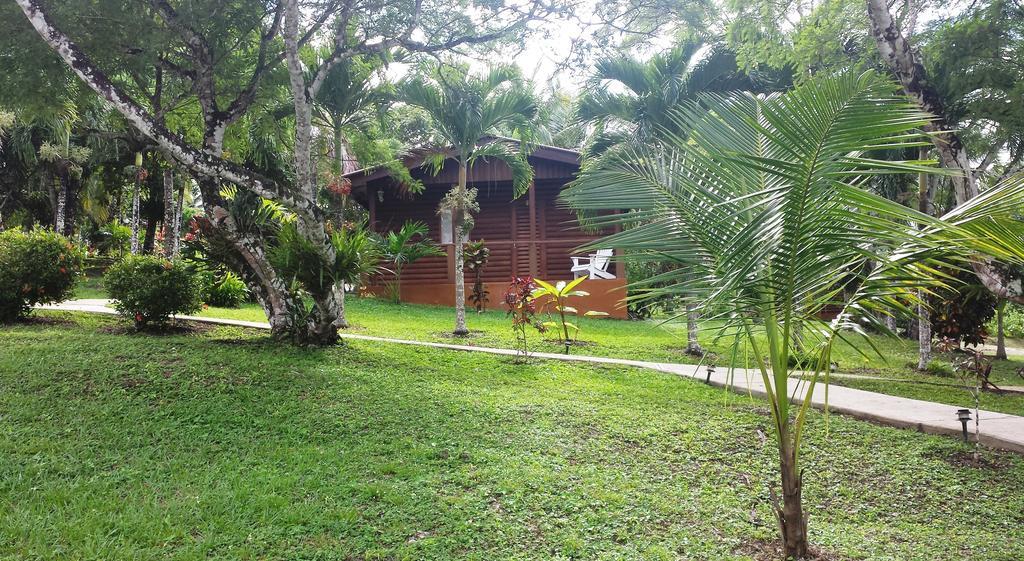 Resort The Log Cab-inn San Ignacio