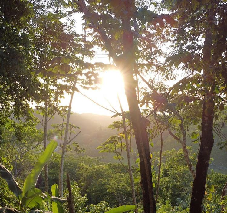 Cayo * San Ignacio