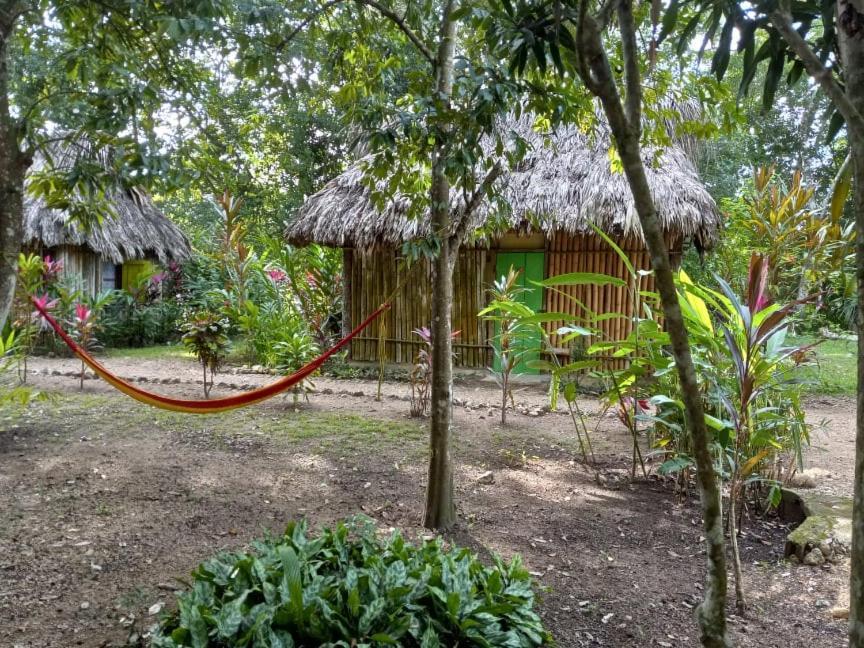 Resort Clarissa Falls San Ignacio