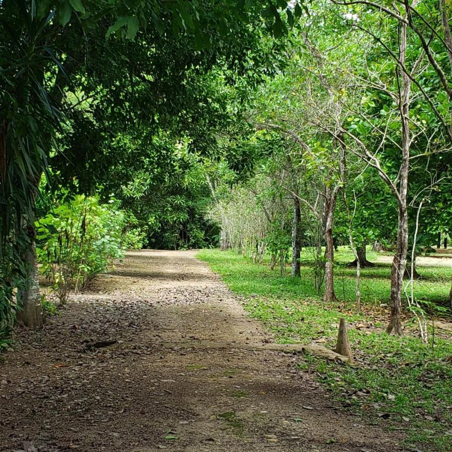 Clarissa Falls Resort