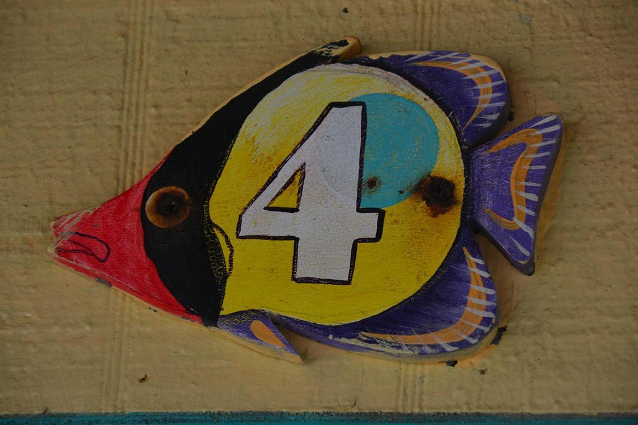 Nautical 4*