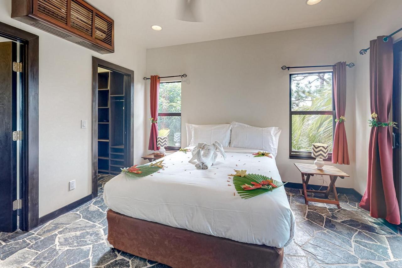 Waimea At Morningstar Breeze Gold Standard Certified * Hopkins
