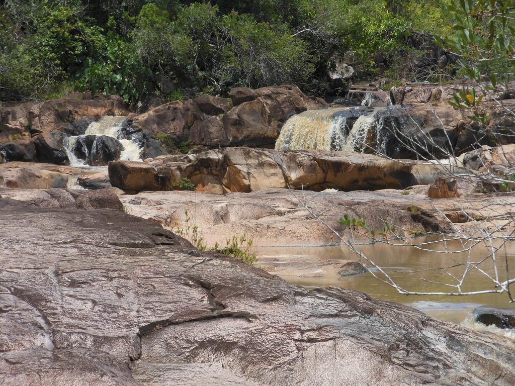 Lodge Macaw Bank Jungle San Ignacio