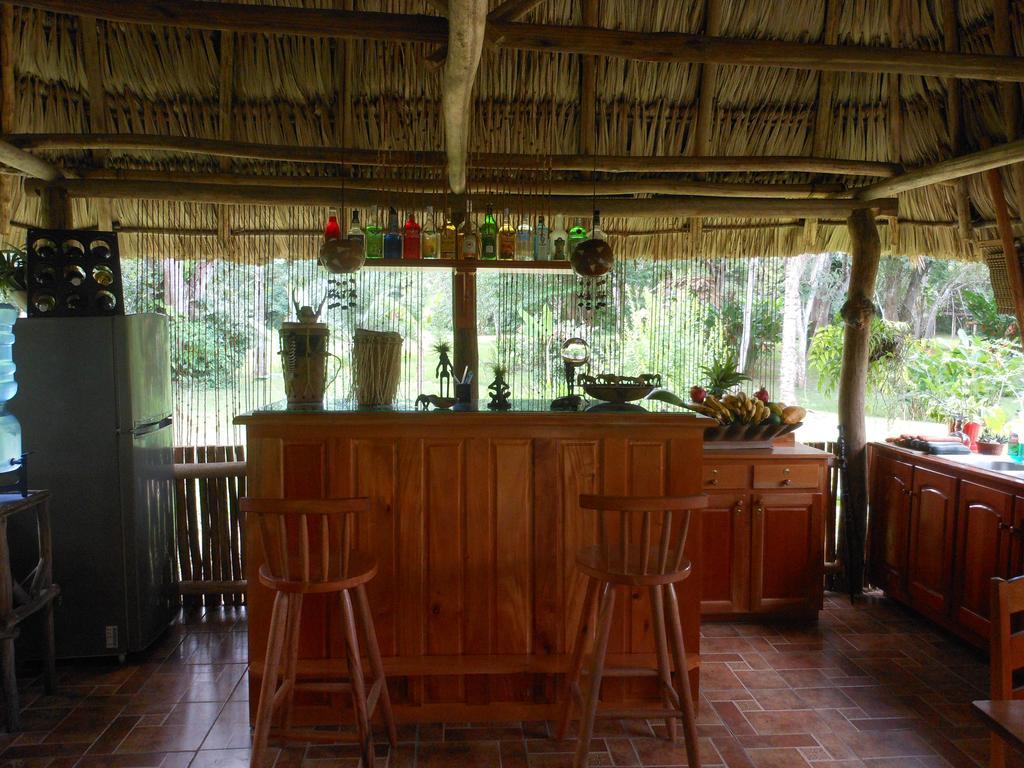 Macaw Bank Jungle