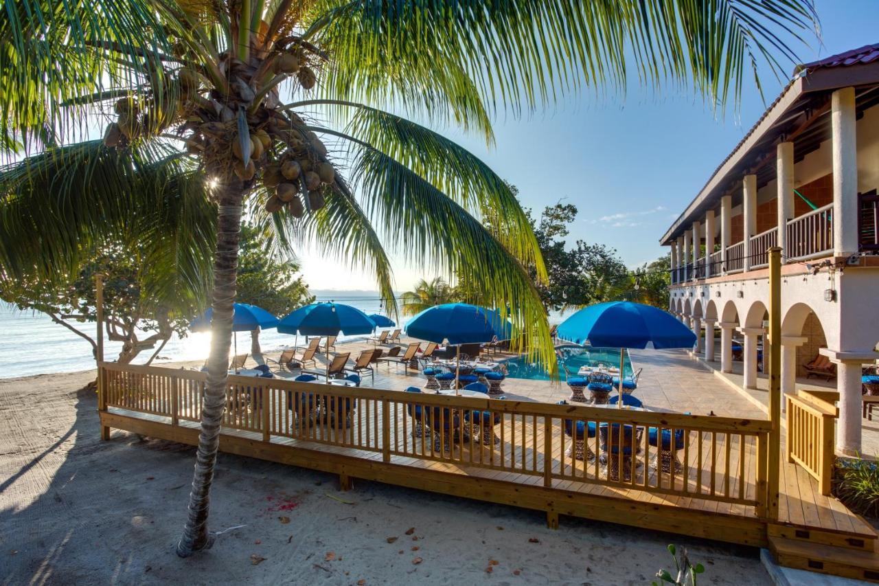 Mariposa Belize Placencia