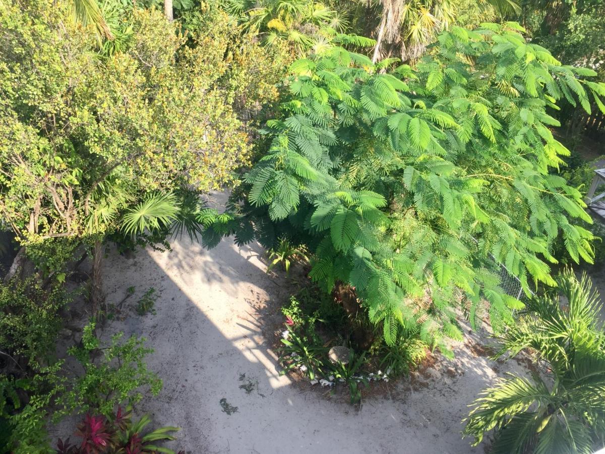 Alta Vista Vacation Holiday home Caye Caulker