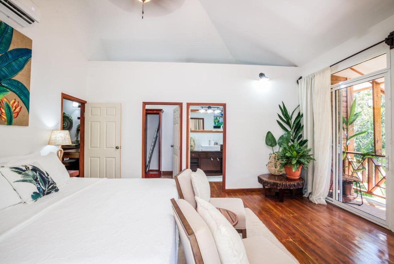 Massis Luxury San Ignacio