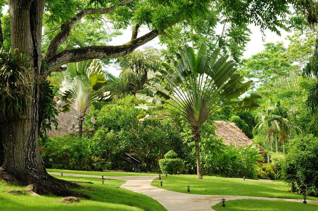 The At Chaacreek Resort