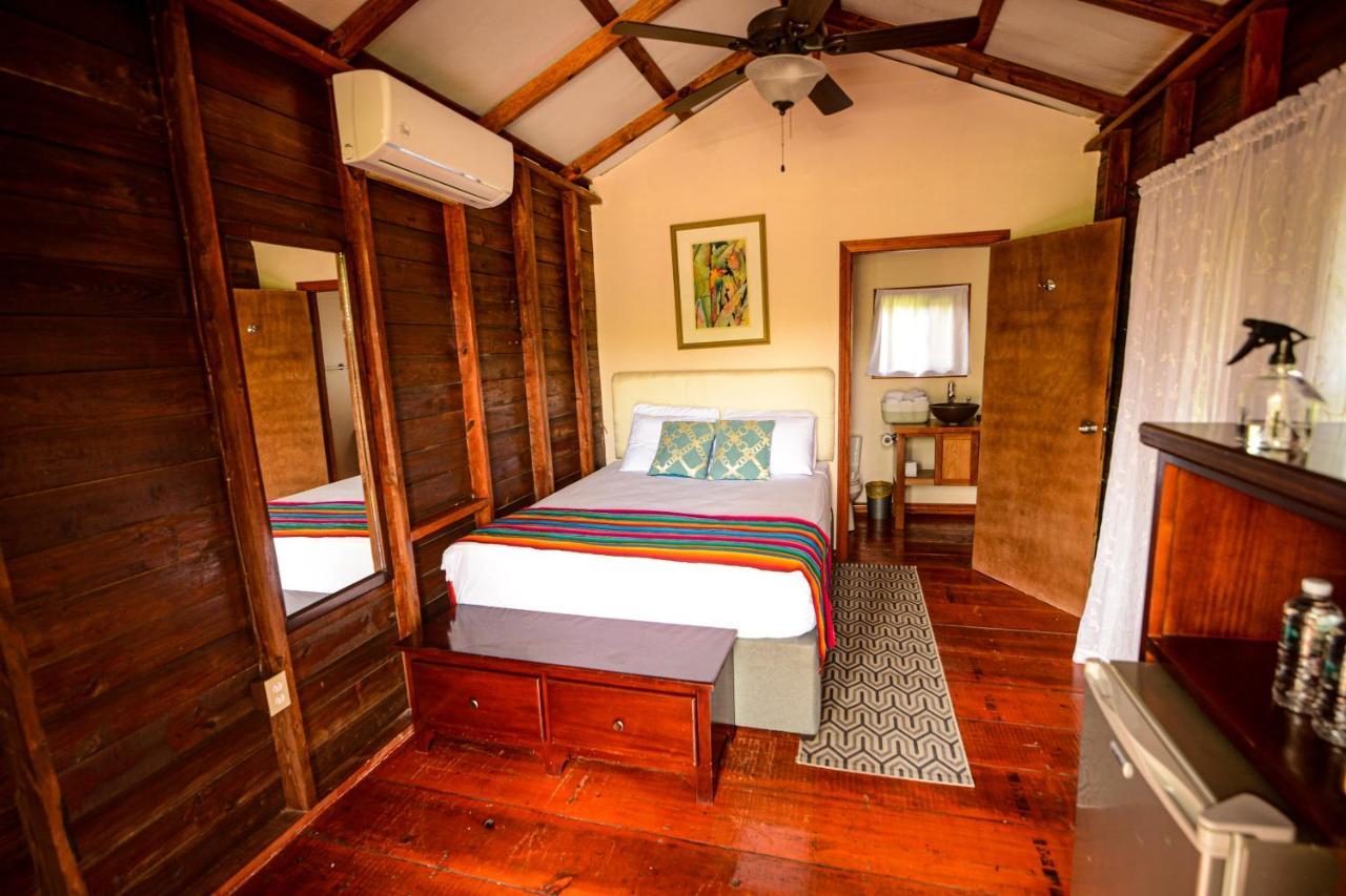Hotel Kikiwitz 3*