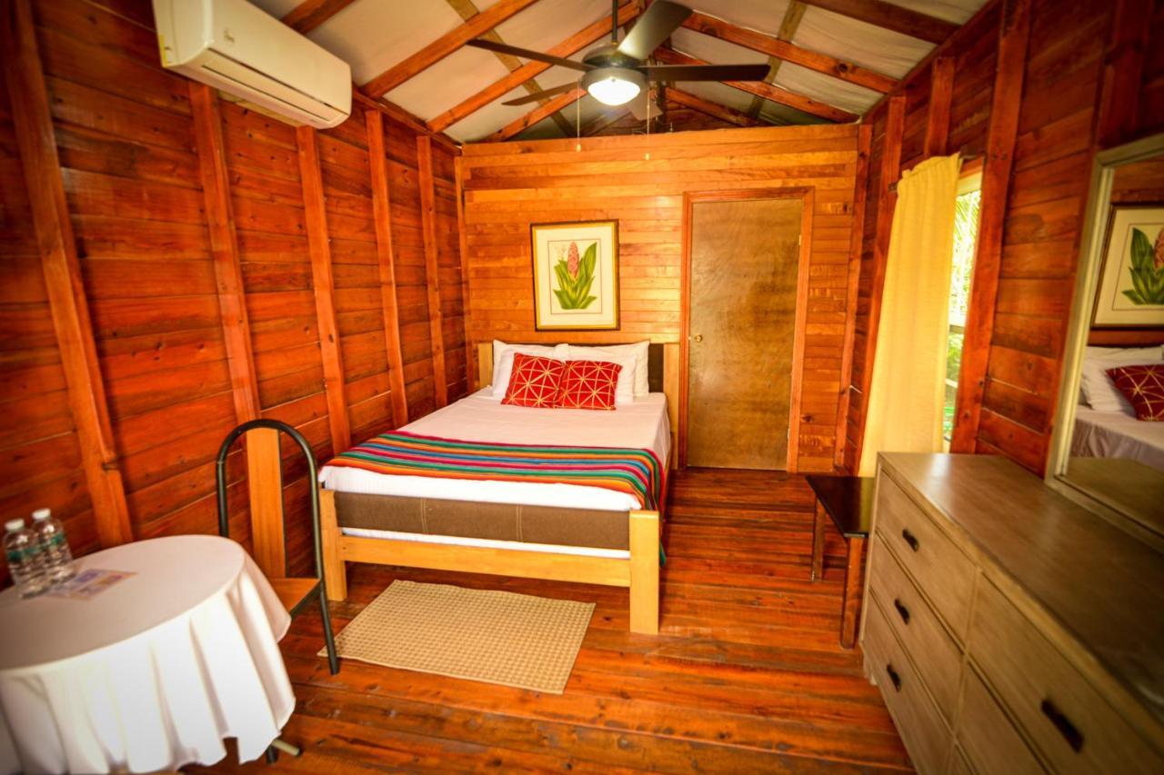 Kikiwitz 3* Belmopan