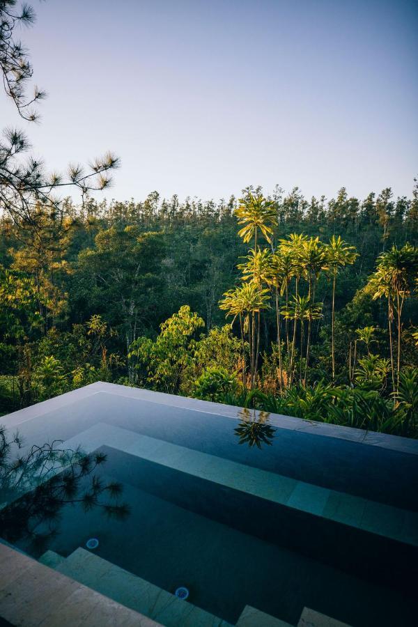 Blancaneaux By Francis Ford Coppola Lodge San Ignacio