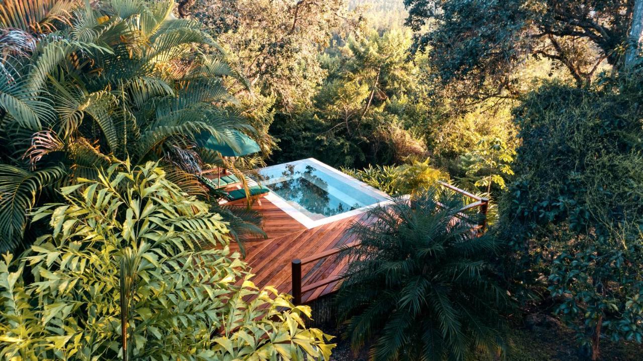 Lodge Blancaneaux By Francis Ford Coppola *