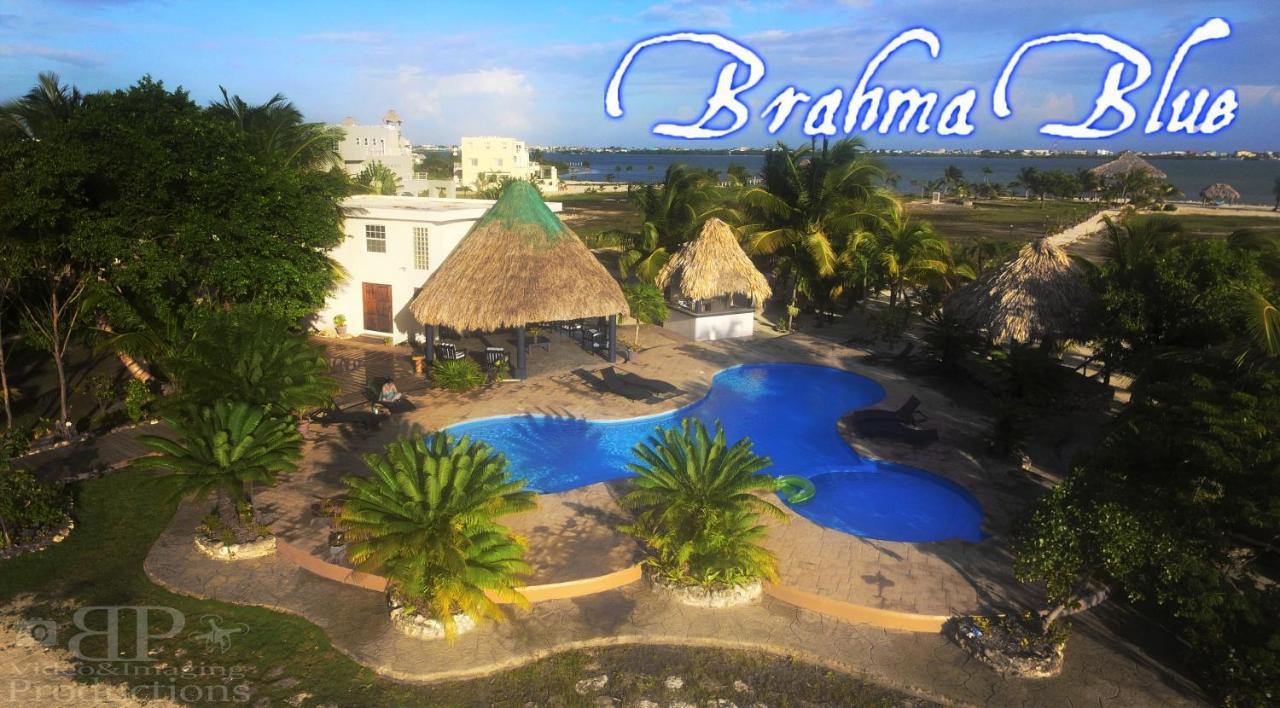 Brahma Blue San Pedro (Ambergris Caye)