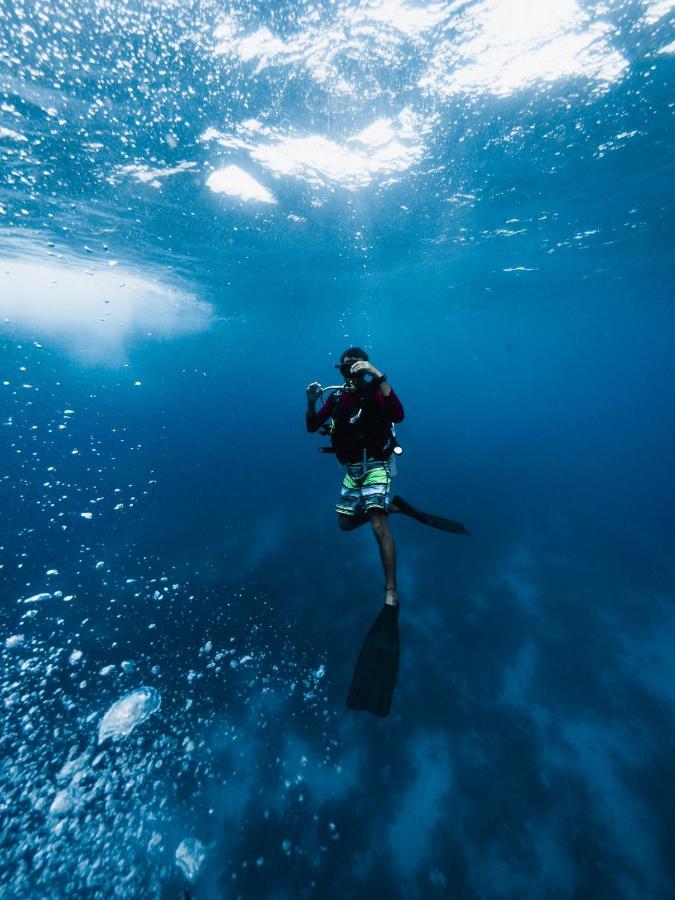 Belize Dive Haven & Marina Resort