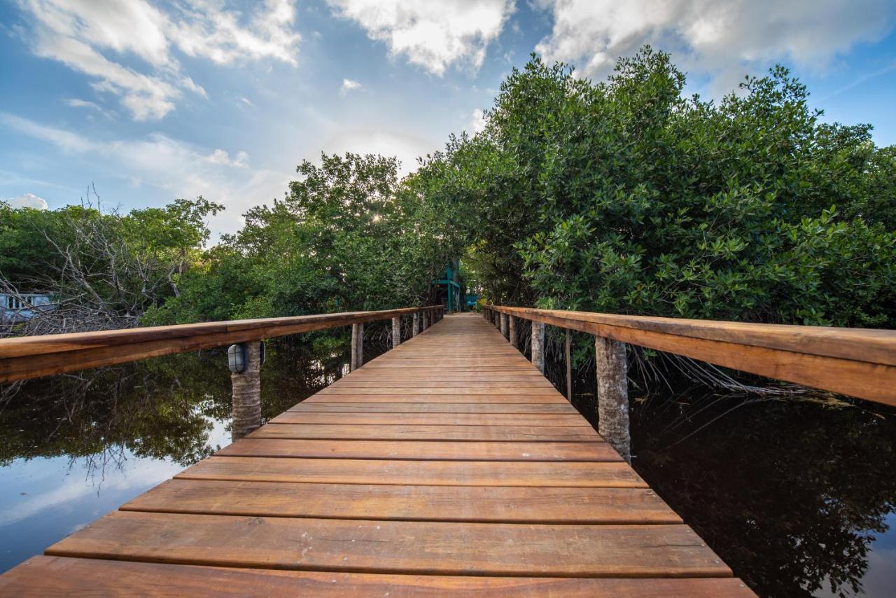 Bella Vista Belize