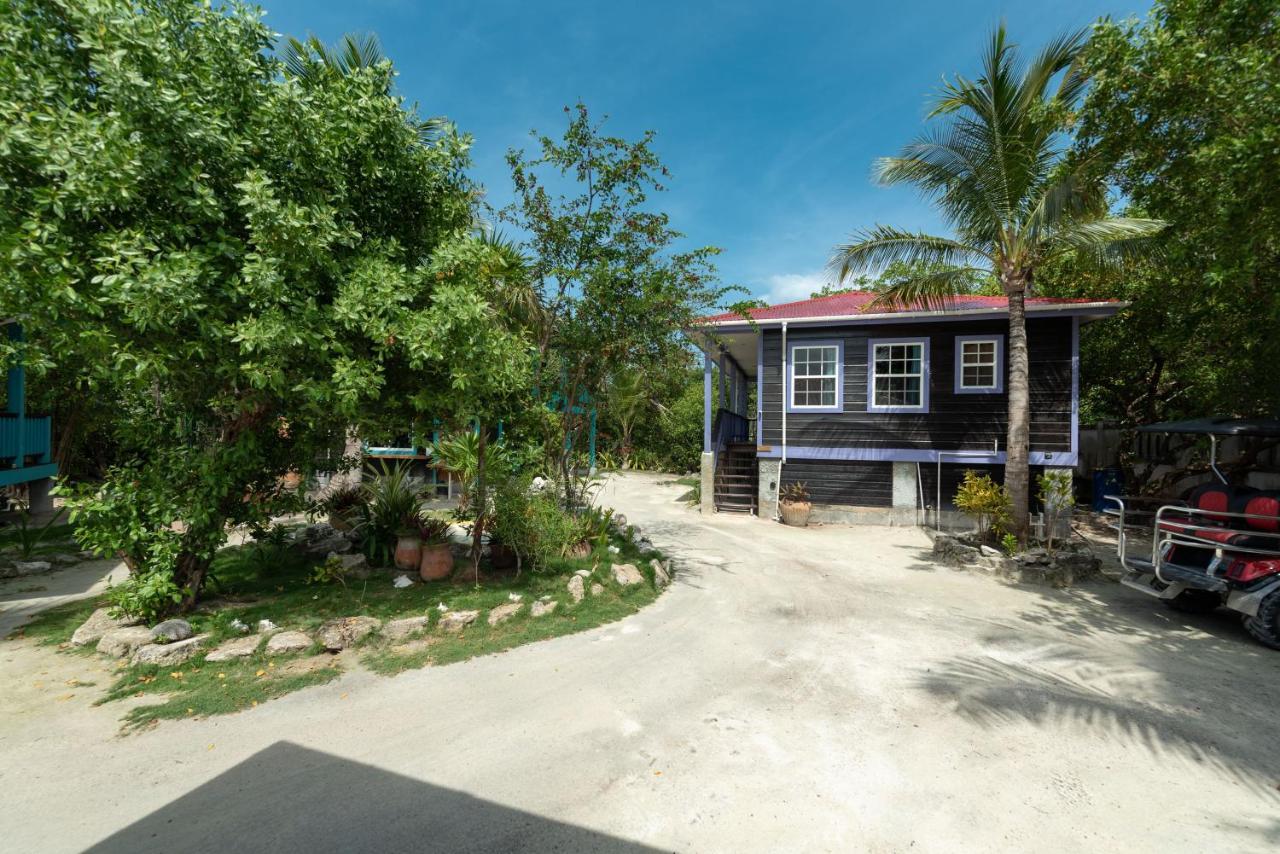 Bella Vista Belize San Pedro (Ambergris Caye)