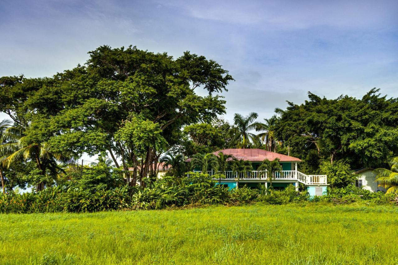 The Sea Glass Inn Placencia