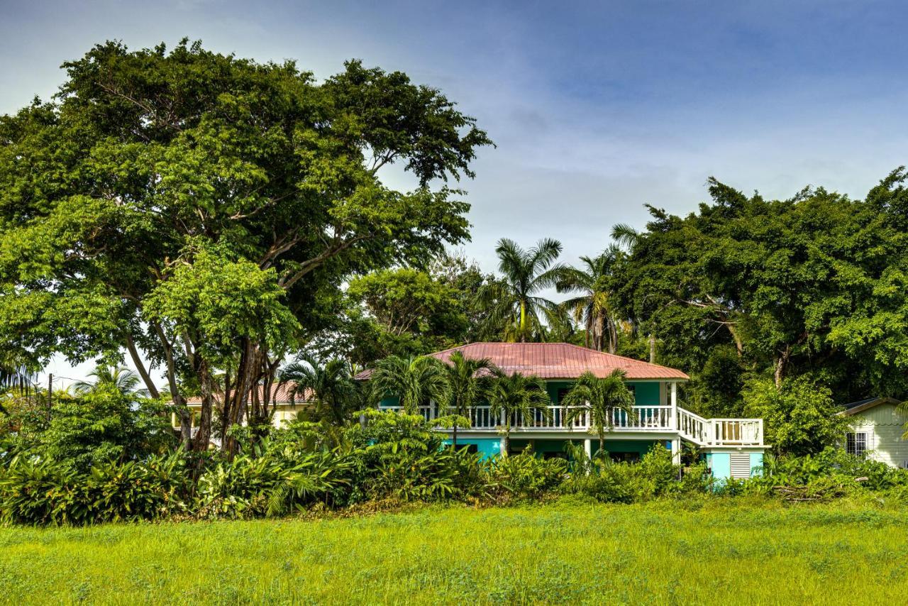 The Sea Glass Placencia